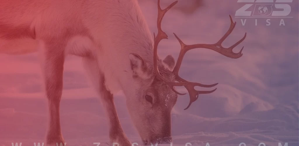 حیوانات بومی کانادا